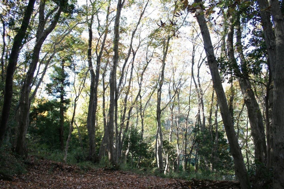 img20230118104838677000.jpg